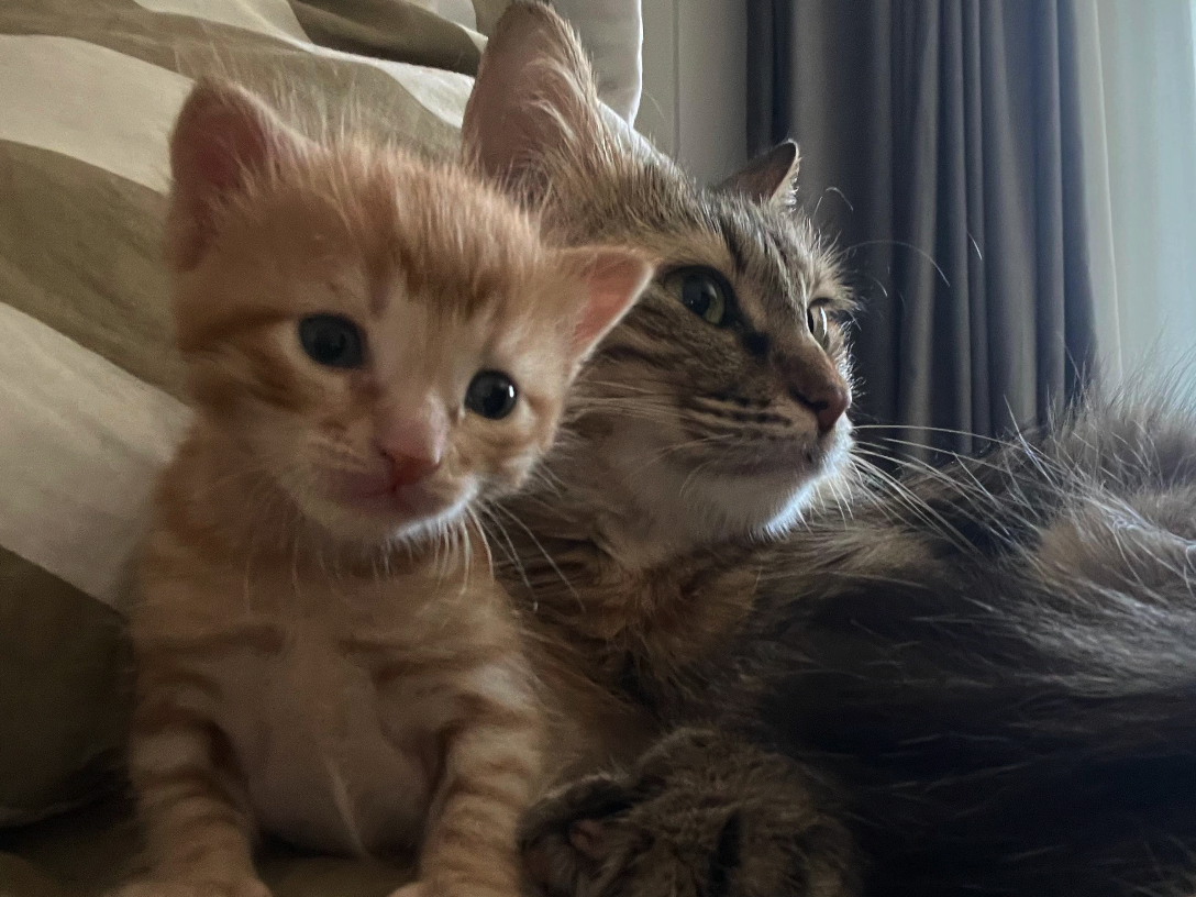 Screenshot at Dec 23 16-49-23.png